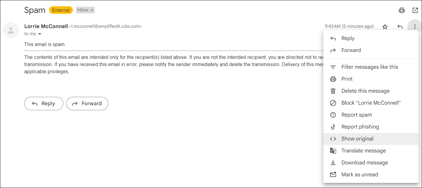 View details from Show original option in the email